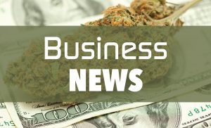 SATIVAisticated Business Cannabis Marijuana News